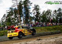 MS 2014 - Finsko