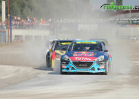 MS 2014 - Itálie