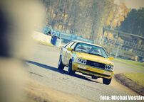 Rallycross Cup 2015 - Sosnová