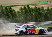 Kliknutím zvětšíte MS 2017 - Belgie