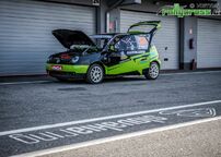 ZSE 2019 - Slovensko
