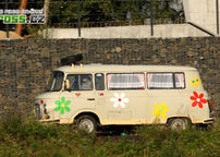 ME 2010 - Česko (CZ) - Sosnová