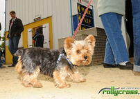 ME 2010 - Francie (FR) - Kerlabo