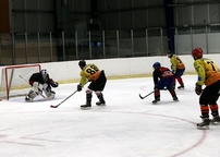 ib1q2009