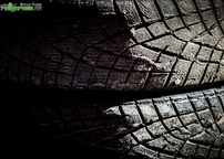 Kliknutím zvětšíte img_5503