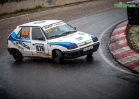 rxcup_fuglau22_45