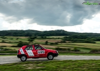 rxcup_fuglau23_64