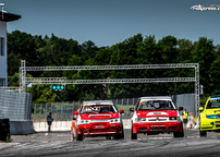 rxmcr_cup_fuglau25_48