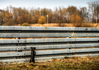 rxmcr_cup_poznan25_79