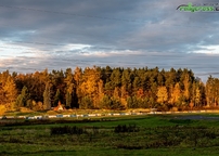 Kliknutím zvětšíte setkani_mistru22_64