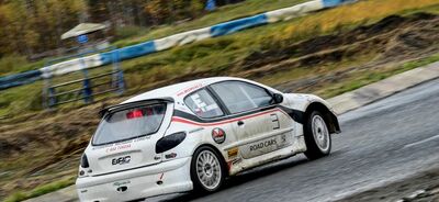 Rallycross Cup 2017 - Sosnová