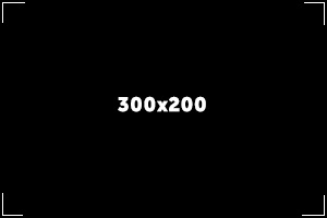300x200