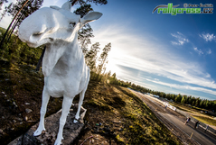 První polovinu MS uzavře Höljes