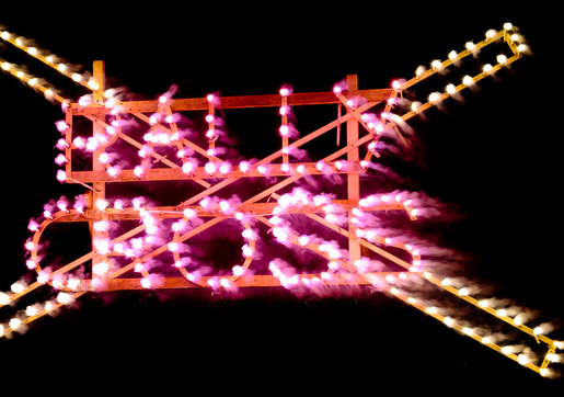 PF 2011
